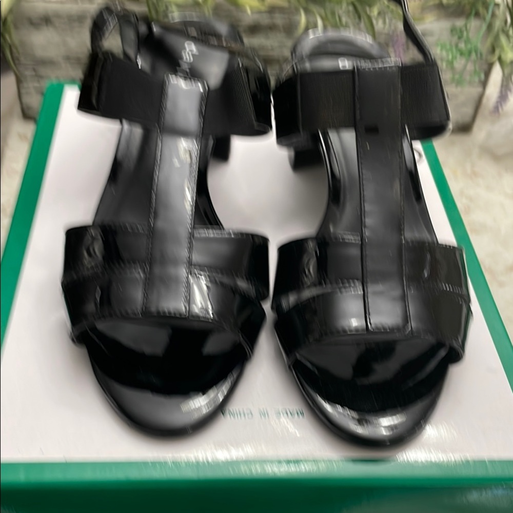 Elegant Black Women's Sandals